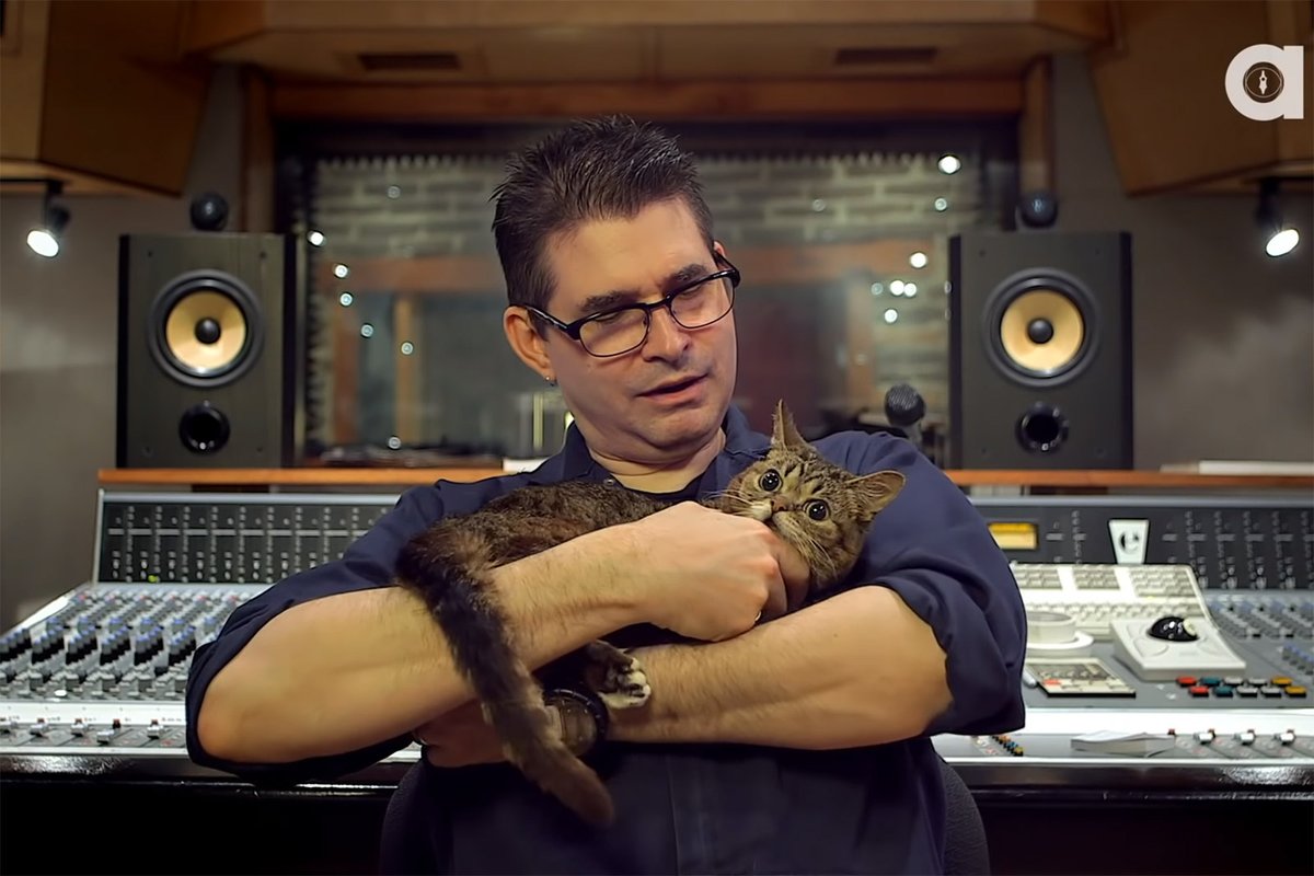 Steve Albini, Thurston Moore, El-P, David Yow &amp; more feature in new Lil BUB coffee table book: brooklynvegan.com/steve-albini-t…
