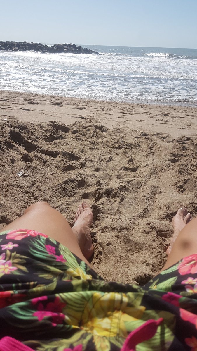 lettieri_chris's tweet photo. 🏖😶 https://t.co/mHwLIEqYYa