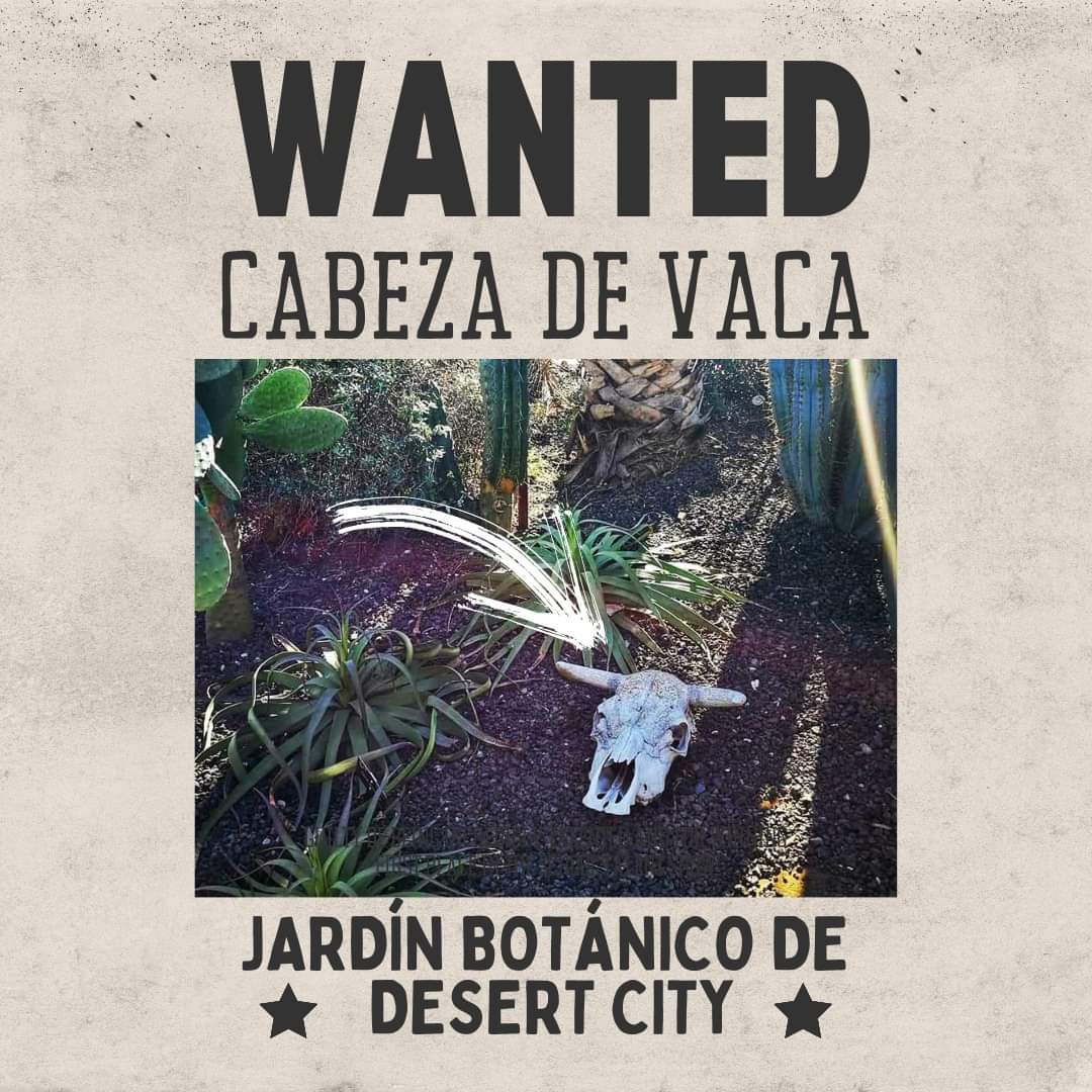 visitdesertcity's tweet photo. 🧤🐮😥 ¡Nos han robado la cabeza de vaca de nuestro jardín botánico!

En #DesertCITY confiamos plenamente en nuestro clientes, por eso nos entristece ver actos de vandalismo de este estilo. 

🏜️ Era un símbolo representativo del paisaje de Desert CITY desde 2013. https://t.co/NBXCUlQ9r9