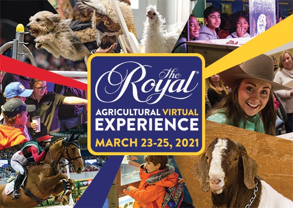 Tune in TODAY at 1pm to hear Dr. Brittany Luby, Dr. Andrea Bradford, and Samantha Mehltretter speak about the Manomin Project at the #VirtualRAWF. The team will speak about crop restoration, cultural revitalization, and treaty living.

Register here: royalfair.vfairs.com/en/