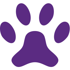 GabrielsAngels's tweet photo. ๐พIn honor of #NationalPuppyDay, we're sharing our favorite puppy picture of our beloved Founding Dog, Gabriel "Gabe" Gaber.๐ถHere's to the incredible legacy that began with one, precious puppy! ๐๐๐ง #PetsHelpingKids https://t.co/s4qbrUVGGo https://t.co/sQI8jjF2u5