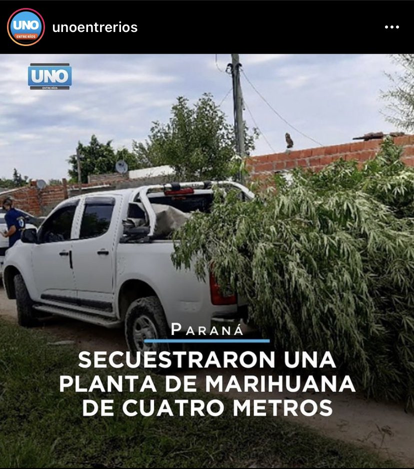 HumorParanaense's tweet photo. NO A LA TALA https://t.co/cY0D5fzN3y