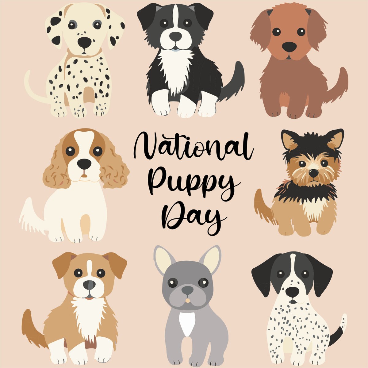 Kennedy_Ins's tweet photo. National Puppy Day seeks to celebrate the unconditional love that puppies bring to people's lives. This day aims to help save orphaned puppies across the globe by encouraging adoption. https://t.co/k1slWd9R9A