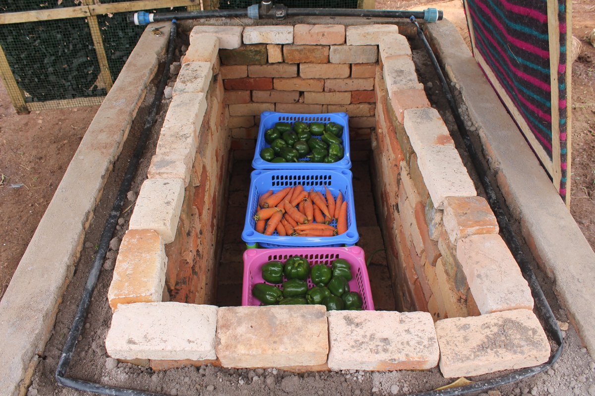 Huye_College's tweet photo. IPRC Huye in partnership with @SEAD_Rwanda is conducting the research project on “Evacuation of storability of vegetables in evaporative cool chambers (charcoal and bricks) as post-harvest losses solution.” The Southern Province of Rwanda has been taken as the case of this study https://t.co/cFitDYNIeo
