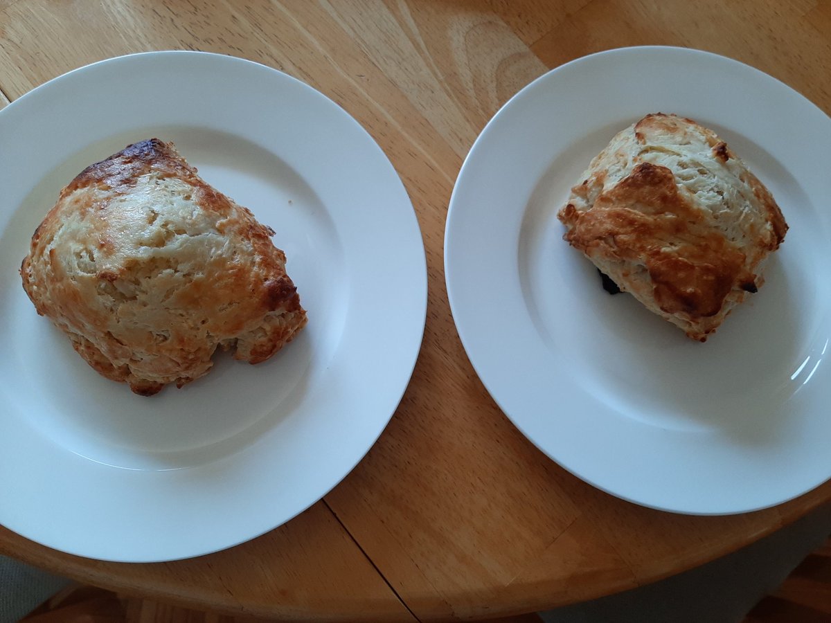 Jessica Warren tweet media