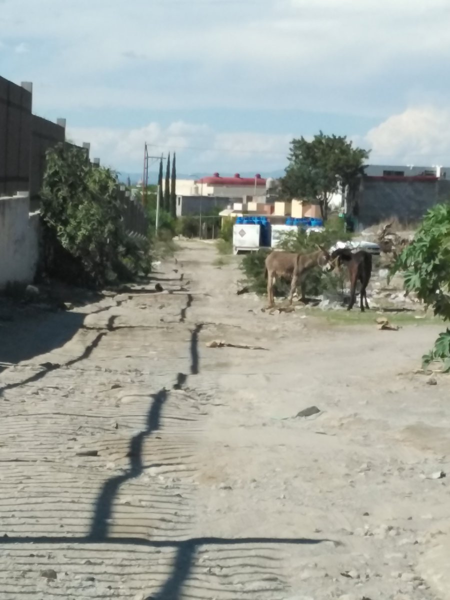 UpcopL's tweet photo. @thaisbabyboom @alfredo81072805 @alfredoplz @MD_H0_DrAaronFC @PRI_Nacional @AccionNacional Esta es la otra cara de San Luis Potosí. Algunas imágenes son de un municipio conurbado. Hay muchísimas calles en gps que no existen como tales. Le pregunto al @PRI_Nacional y @AccionNacional si ESTO ES DE LO QUE PRESUMEN Y SI ESTO ES SABER GOBERNAR? https://t.co/DDA3LROQ4n