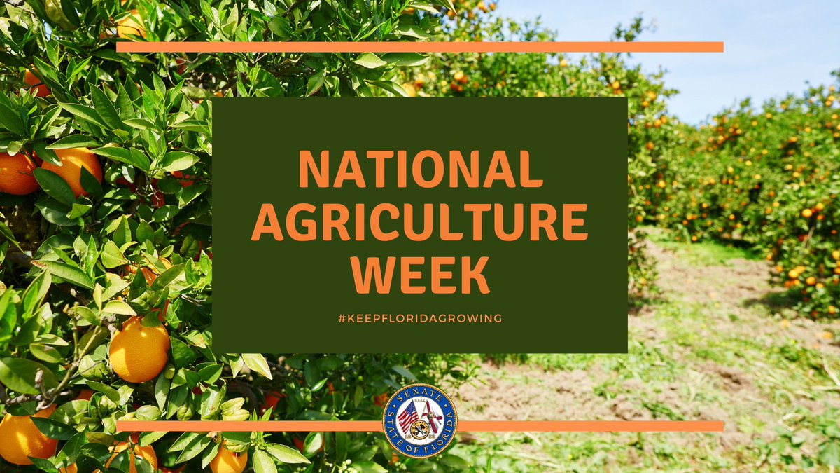 debbie_mayfield's tweet photo. #NationalAgWeek Florida has over 9.5 million acres of farm land! #keepfloridagrowing @FDACS https://t.co/Xgfppf9pTP