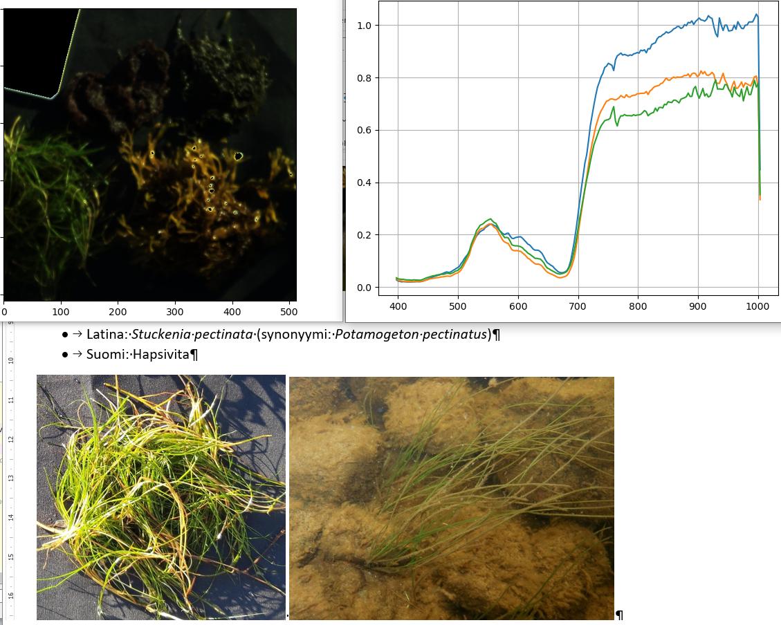 LauriMarkelin's tweet photo. Finally working with in situ data collected last September: #SpecimIQ spectra of Stucenia pectinata looking good! Still some work to do before comparing these to hyperspectral #drone imagery. @meribiologi @BA_ECONNECT @SpecimSpectral #fieldwork https://t.co/4iGIWAK4Oi