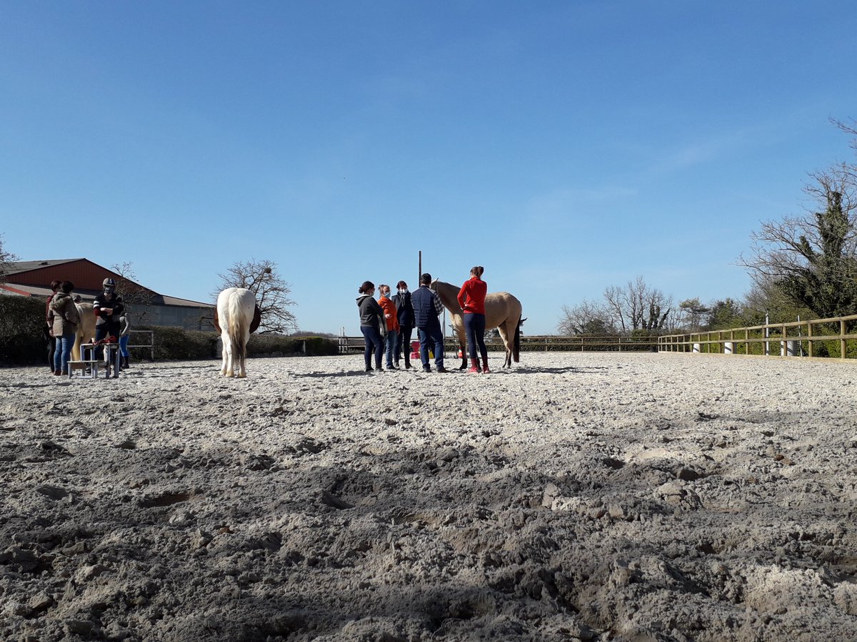 yvon0911's tweet photo. FFE Cheval et Diversité, une nouvelle étape de la démarche : formation "initiation à la MAE". Un déploiement en région en collaboration avec le CRENA.
14 stagiaires sont venus découvrir et échanger : sport-santé, soins, handicap, inclusion et equicoaching. https://t.co/dNv3tfPT03