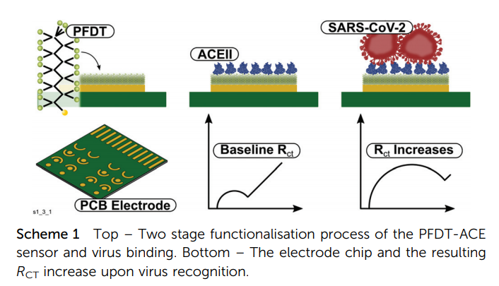 An #electrochemical SARS-CoV-2 #biosensor inspired by #glucose test strip manufacturing processes strathprints.strath.ac.uk/75857/ #chemical #sensors #COVID19 #OpenAccess <a href="/StrathChem/">Chemistry - University of Strathclyde</a> <a href="/StrathBiomedEng/">Biomed Engineering</a> <a href="/StrathCivEng/">Department of Civil & Environmental Engineering</a> <a href="/SIPBS_Strath/">StrathPharm&Bio</a> <a href="/SipbsS/">SIPBS_Strath_outreach</a> <a href="/PaulHoskisson/">Paul Hoskisson 😷🔬🧫🧬🐸🐍🦎</a> <a href="/stuarthannah2/">Stuart Hannah</a>