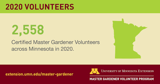 UMNExtMG's tweet photo. You’ll find University of Minnesota Extension Master Gardeners throughout #Minnesota! In 2020, there were 2,558 Master Gardener #volunteers. #UMNExtWorks #mnleg https://t.co/LNAPwVxD2Q