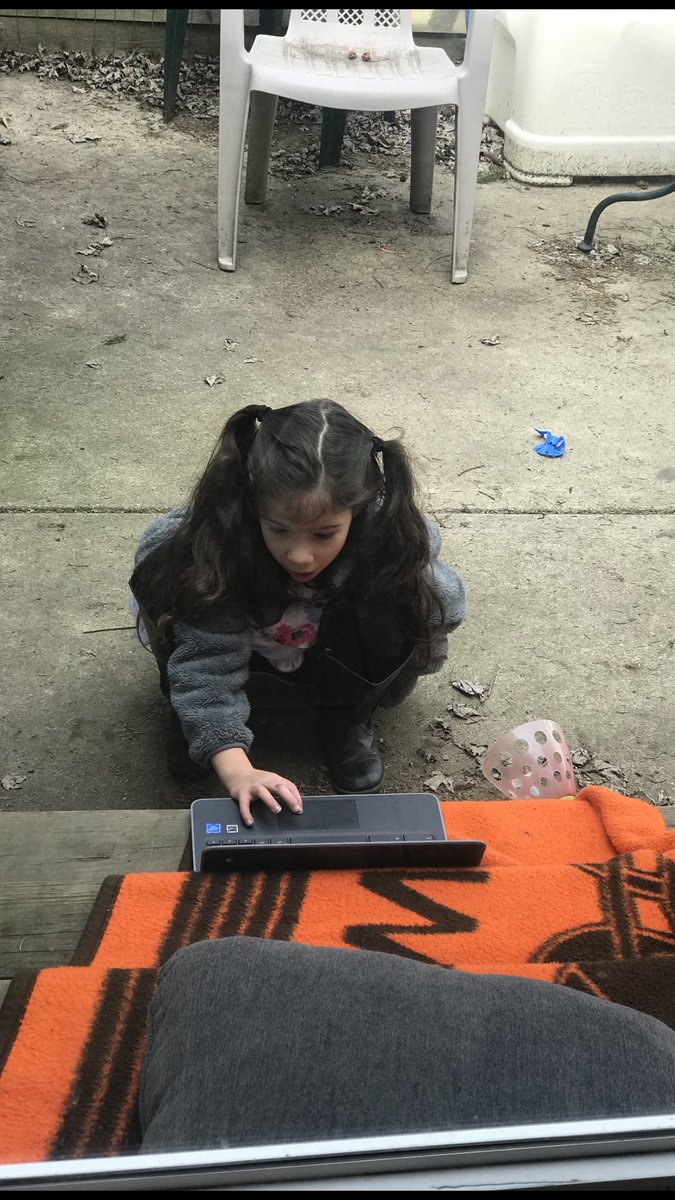 bluedaisy550's tweet photo. Virtual learning can happen anywhere 💜@alpha5marmoset https://t.co/9JxcmF0U7W