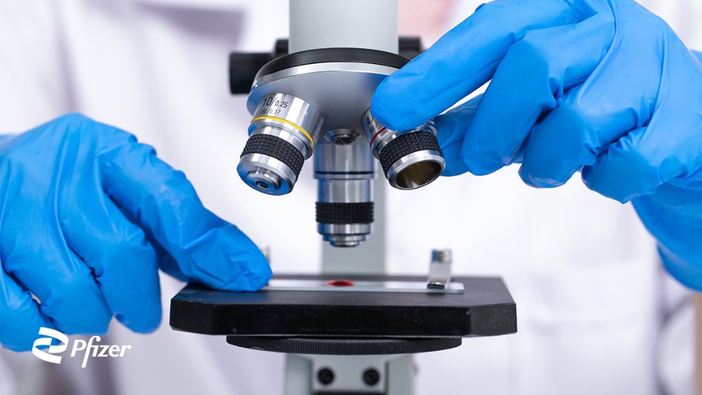 Today, we announced that we’ve started testing the safety profile of our novel oral #antiviral investigational drug candidate for SARS-CoV-2 infections. #COVID19 #ScienceWillWin on.pfizer.com/3vT2jJl