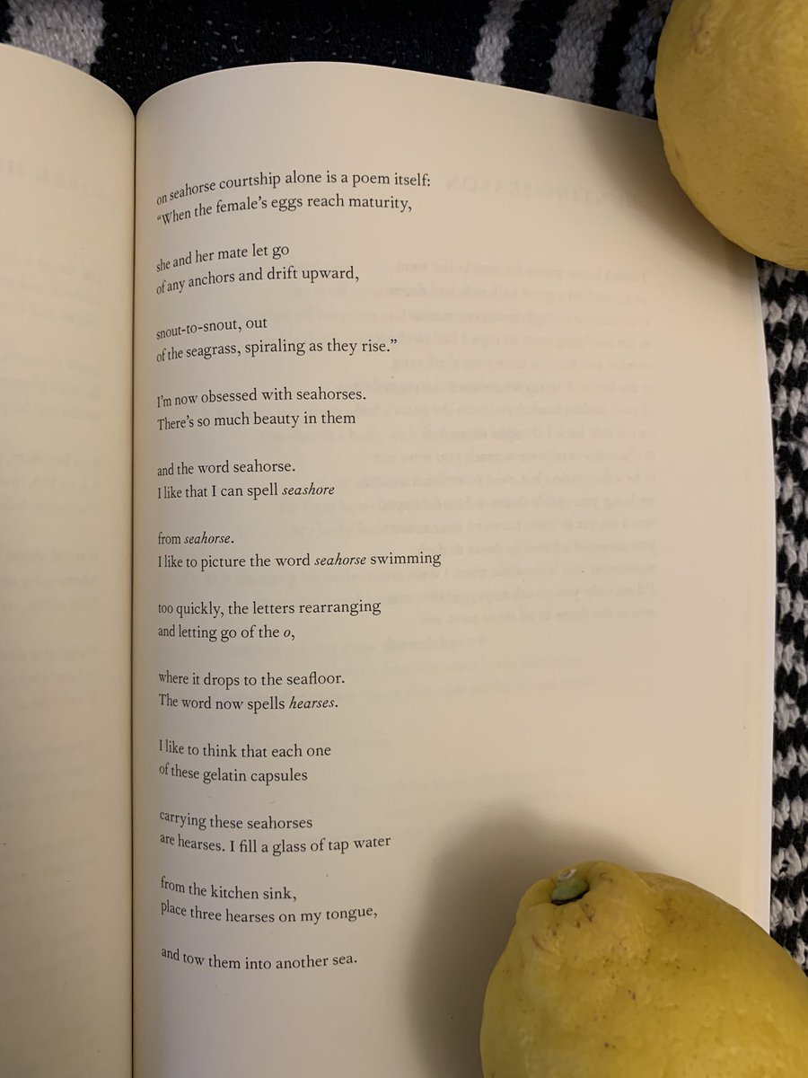 I.S. Jones 🦌🌑 tweet media