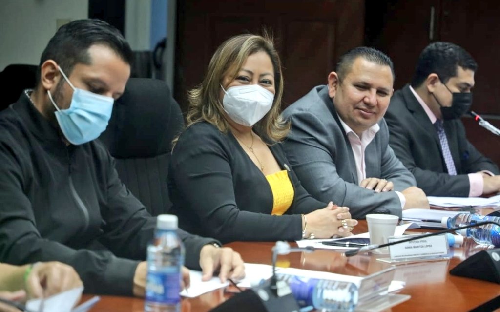 SoniaLopezGANA's tweet photo. Presente en Comisión de Seguridad Pública y Combate a la Narcoactividad, donde se recibe informe del Director de Medicina Legal de la cantidad de homicidios por día que corresponde  del 8 al 14 de Marzo del presente año https://t.co/GEhHEuceyd