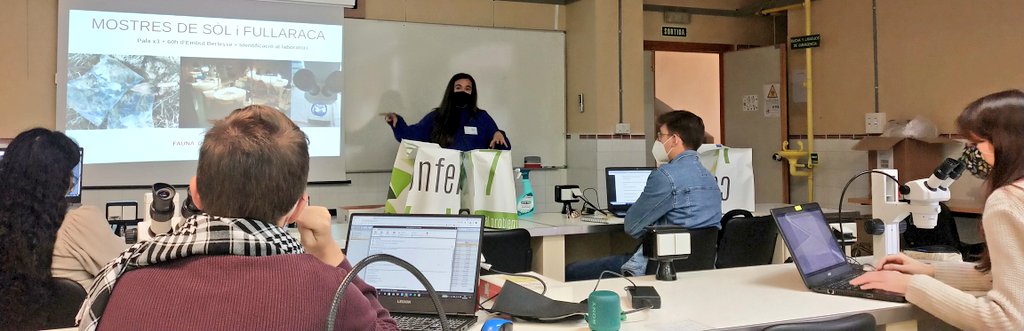 Mar_Leza_Salord's tweet photo. Wow! 1st Class Day 🕷️🕸️🐜🦗🦟🐝🐞🦋🐛! A tope estudiant la diversitat de les nostres illes 🏝️🏝️Acreditaciones molonas con ilustraciones d #Pelopanton 🔝🔝 #Entomolovers #EntomoGlobal #LoveInsects #Formentera #Equipasso 💚💪 https://t.co/Tmw8wk34ri