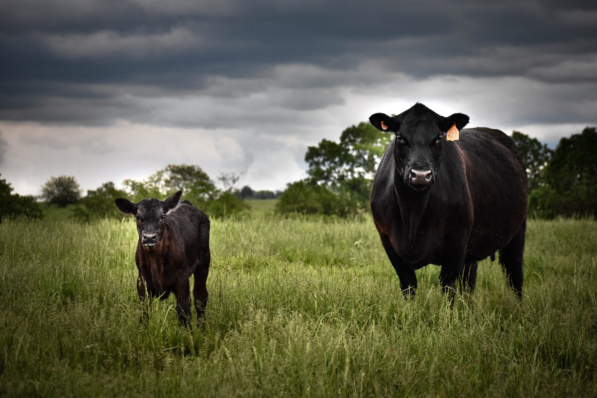 “An industry that feeds you is an industry worth fighting for.” #NationalAgDay