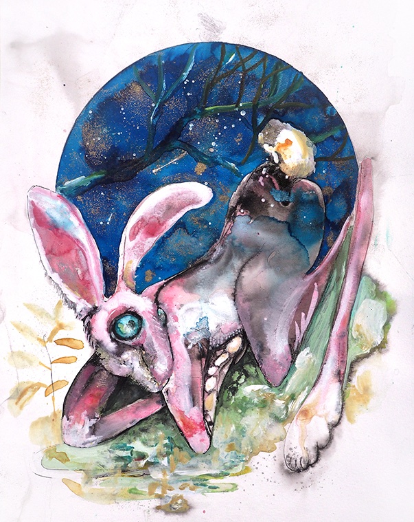 Edith Meijering tweet media