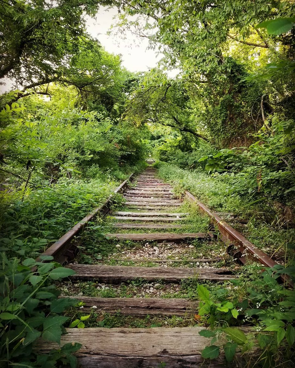 VisitAllenTexas tweet media