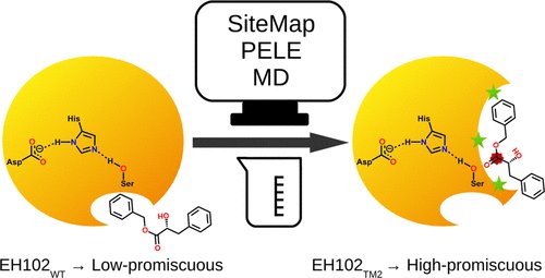 ACSCatalysis's tweet photo. The application of a single catalyst for hydrolysis of different substrates is a compelling goal in industrial bioprocessing; here, Roda et al. @BSC_CNS @ICP_CSIC demonstrates esterase's potential via robust modelling  that deciphers promiscuity rules 

https://t.co/7jcQcNaUr6 https://t.co/nF6izSML83