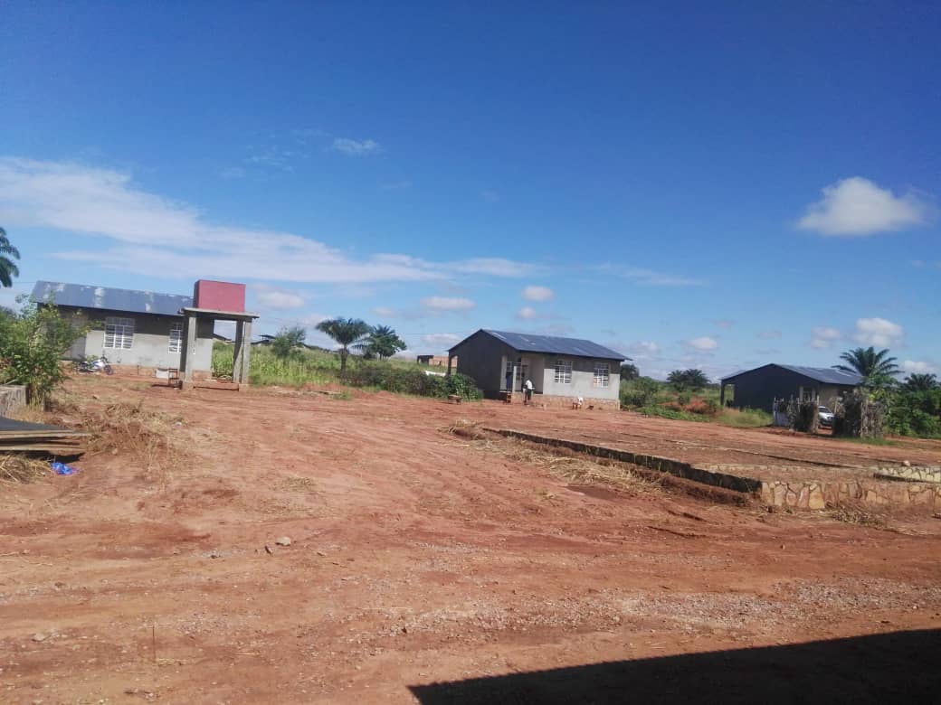 Radio Okapi tweet media