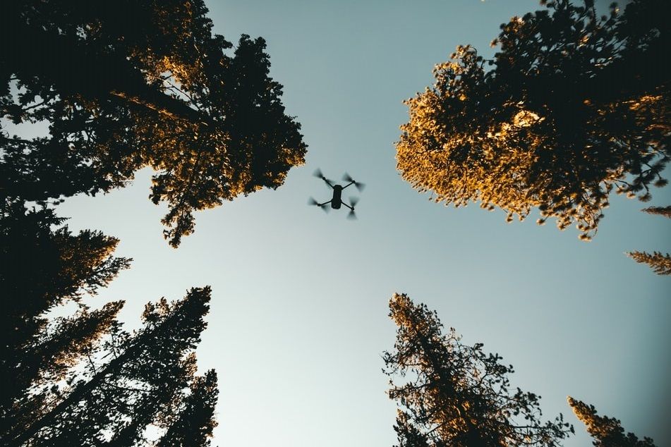 cdnsciencepub's tweet photo. Remotely piloted aircraft systems and #forests: a global state of the art and future challenges https://t.co/RX4AtBlu0j
New FREE access Editor's Choice | by Eugenio et al. in #CJFR
#drones https://t.co/7MFMXSey18