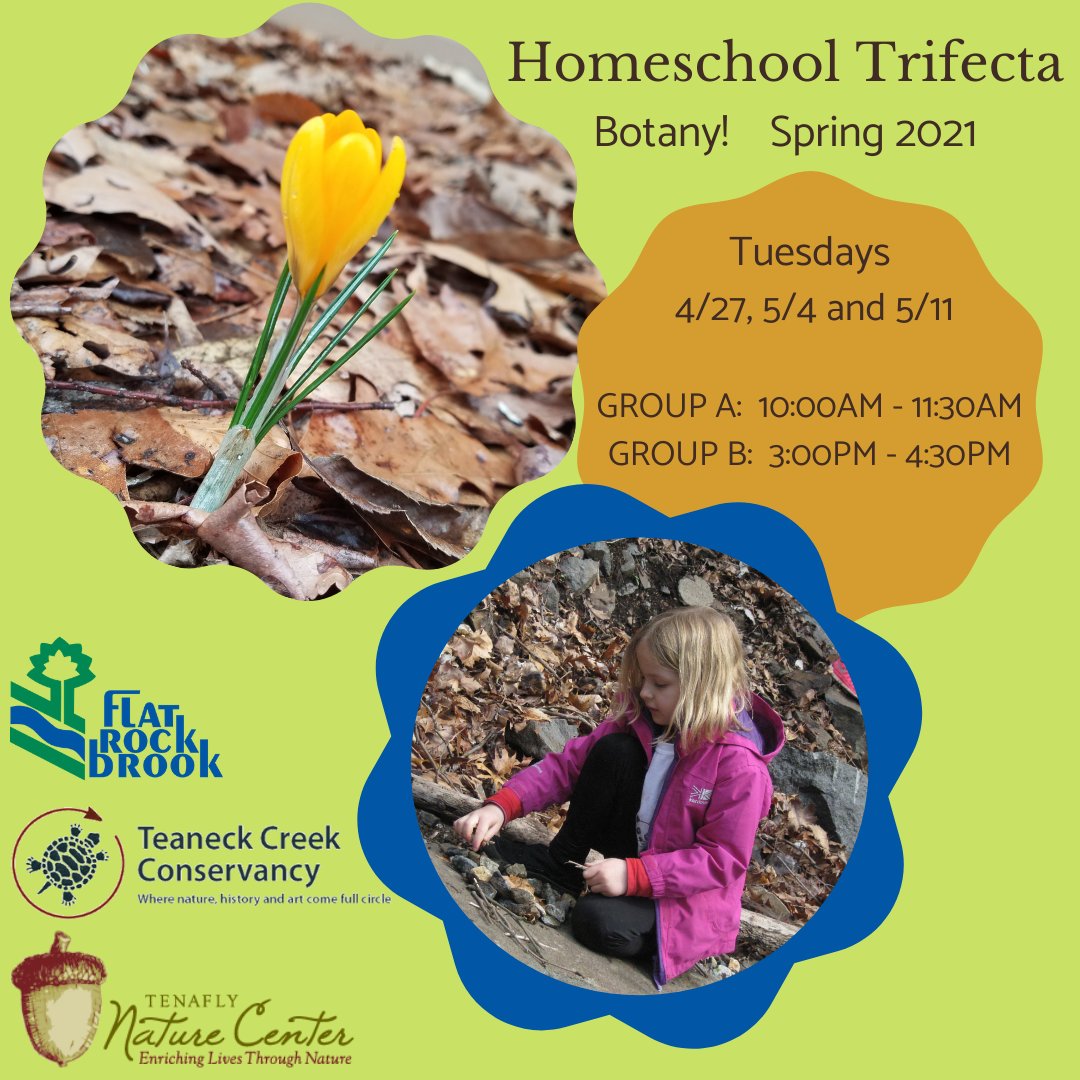flatrockbrook's tweet image. Homeschool Trifecta is coming up! Check the link in our bio!