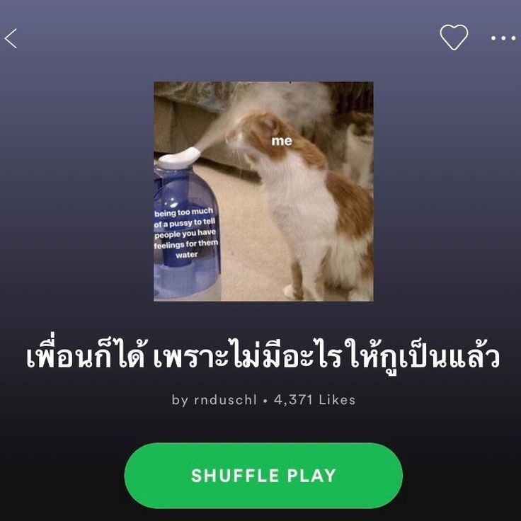 𝙀𝙢𝙟𝙖𝙮𝙘. tweet media