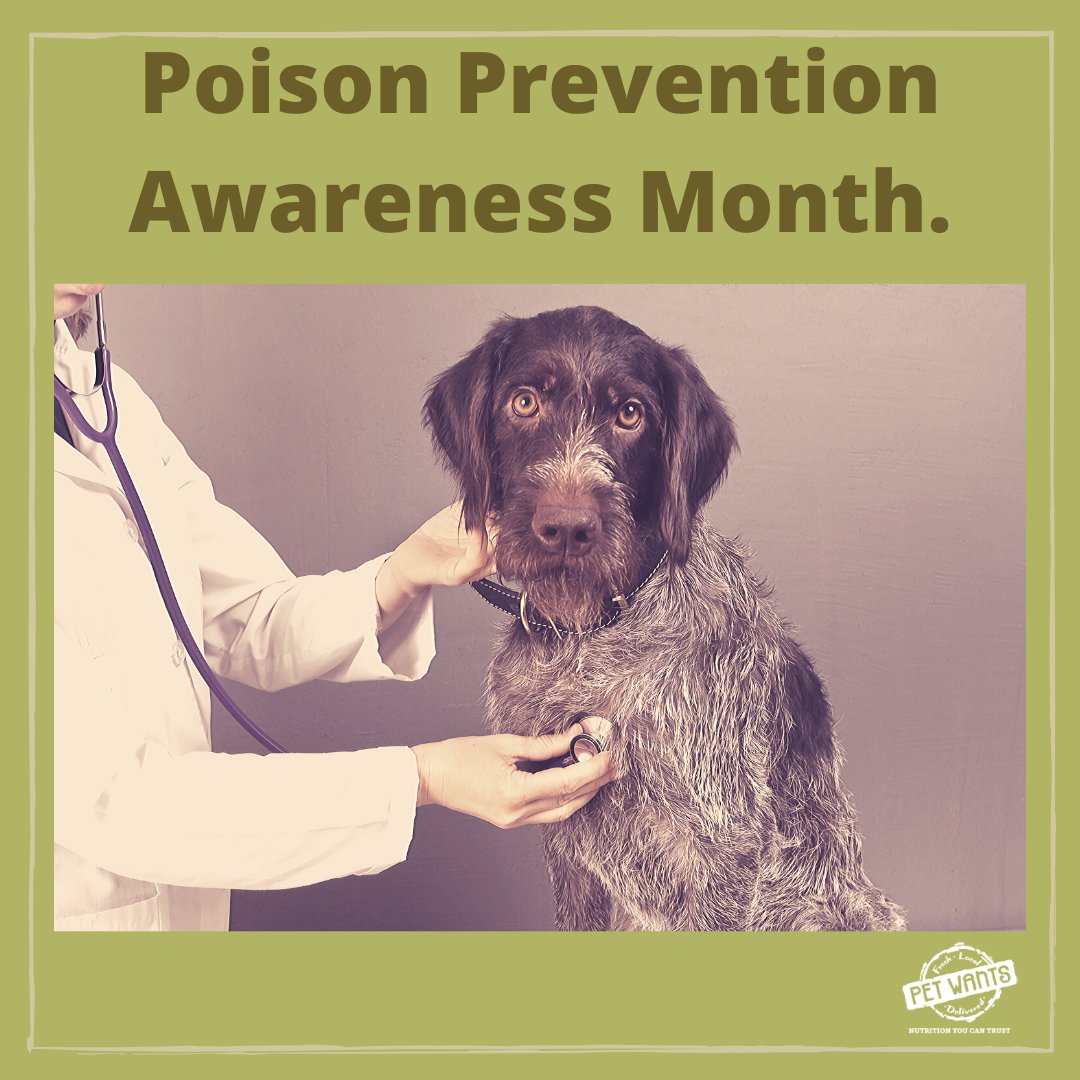 🚨A friendly reminder::
Medications, Cleaning Supplies, Chewing Gum, and Houseplants (especially lilies) are all potentially harmful to your pets and should be kept out of their reach.
..
petwantscincywest.com  #Pets