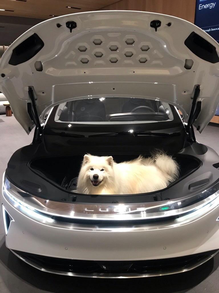 LucidMotors tweet picture