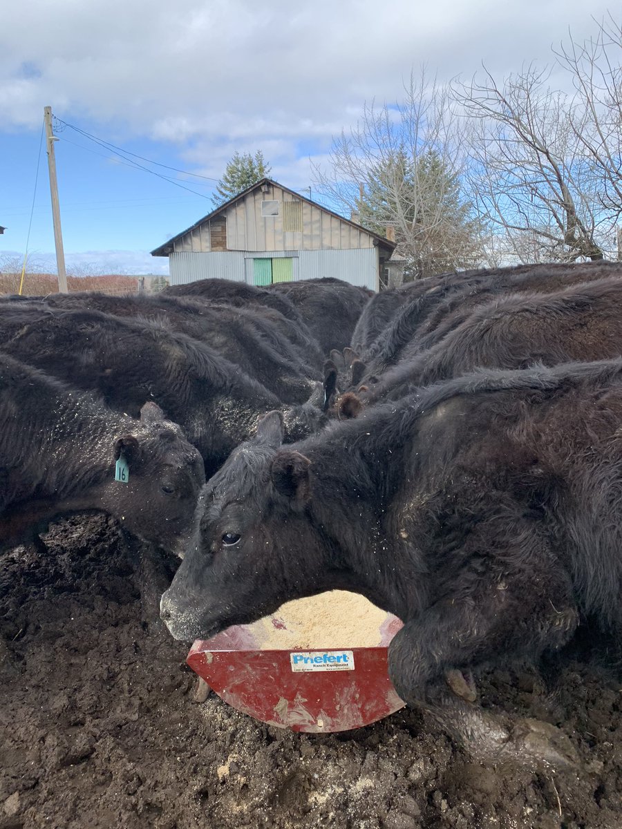 It takes a special person to work in agriculture, today we celebrate you🎉. Happy #NationalAgDay , #fourcornersag