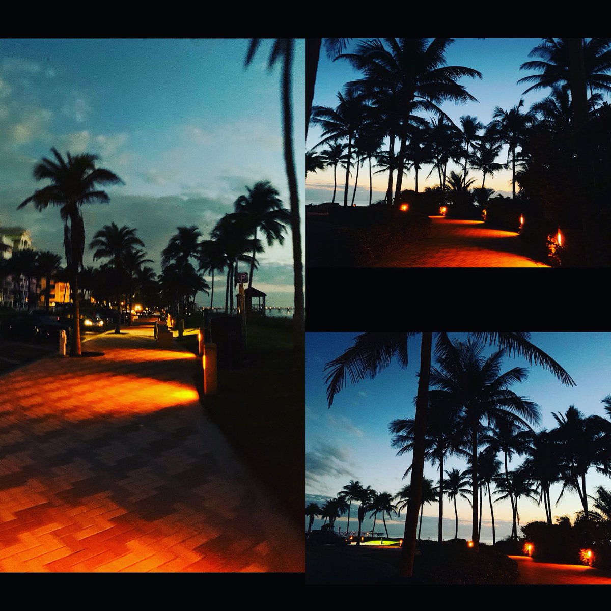 jerseytoboca's tweet photo. Beautiful morning walk🙌🌴😘 https://t.co/U5Z5jveEPQ
