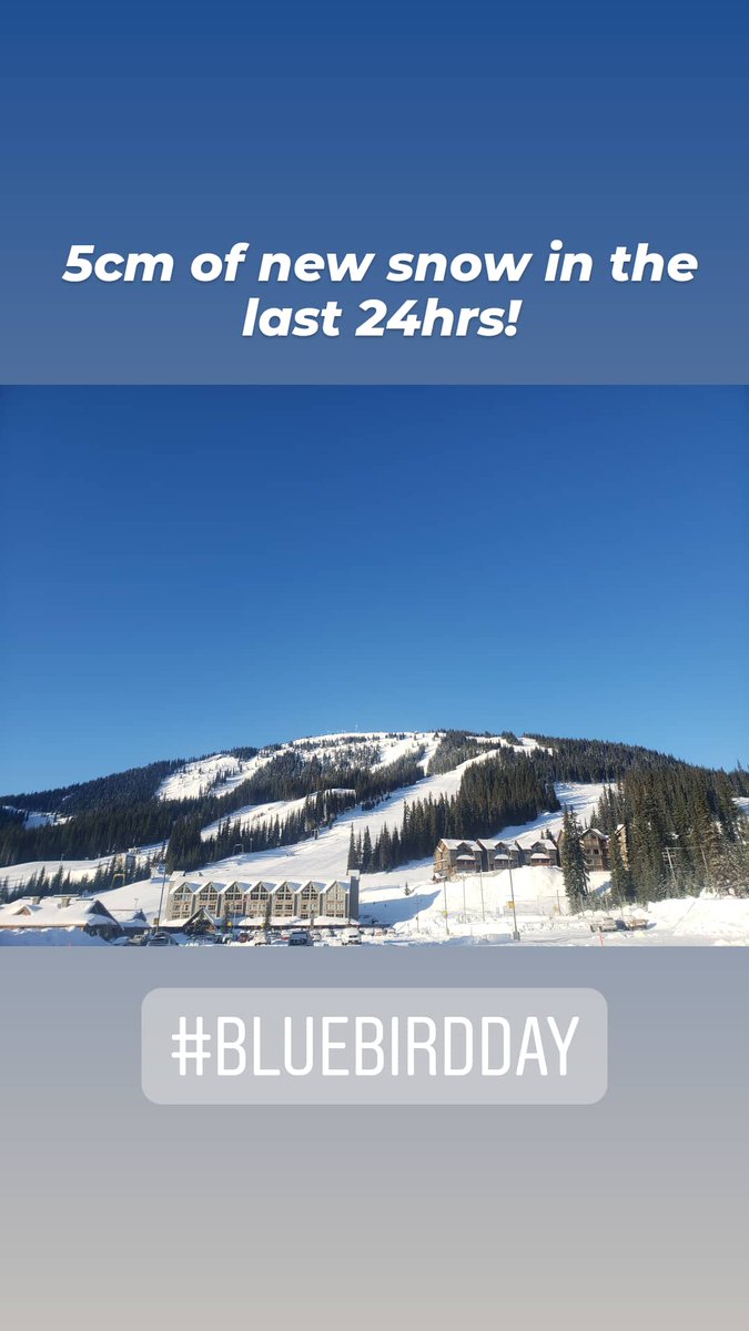5cm of new snow in the last 24hrs hours!

#bluebirdday