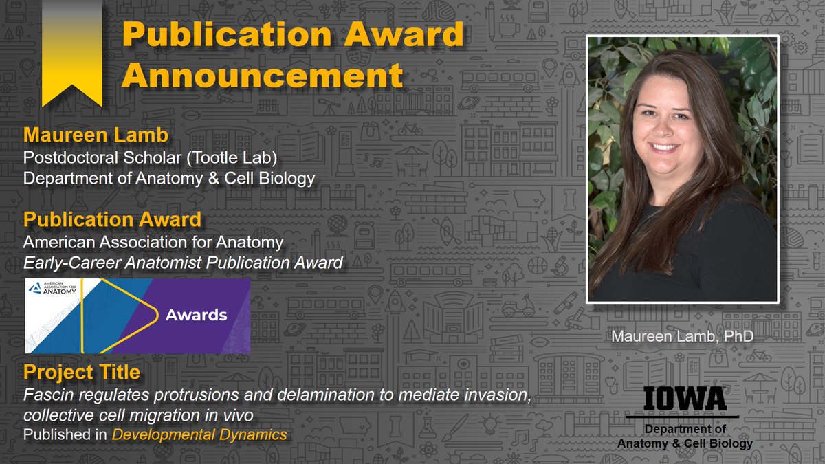 UIowaACB's tweet photo. Publication Award...Maureen Lamb, Postdoctoral Scholar in the Tootle Lab, has just received the Early-Career Anatomist Publication Award by the American Association for Anatomy, for her paper published in Developmental Dynamics. Congratulations, Maureen!
#UIowaACB #IowaMed https://t.co/4iiJnF8Qmz