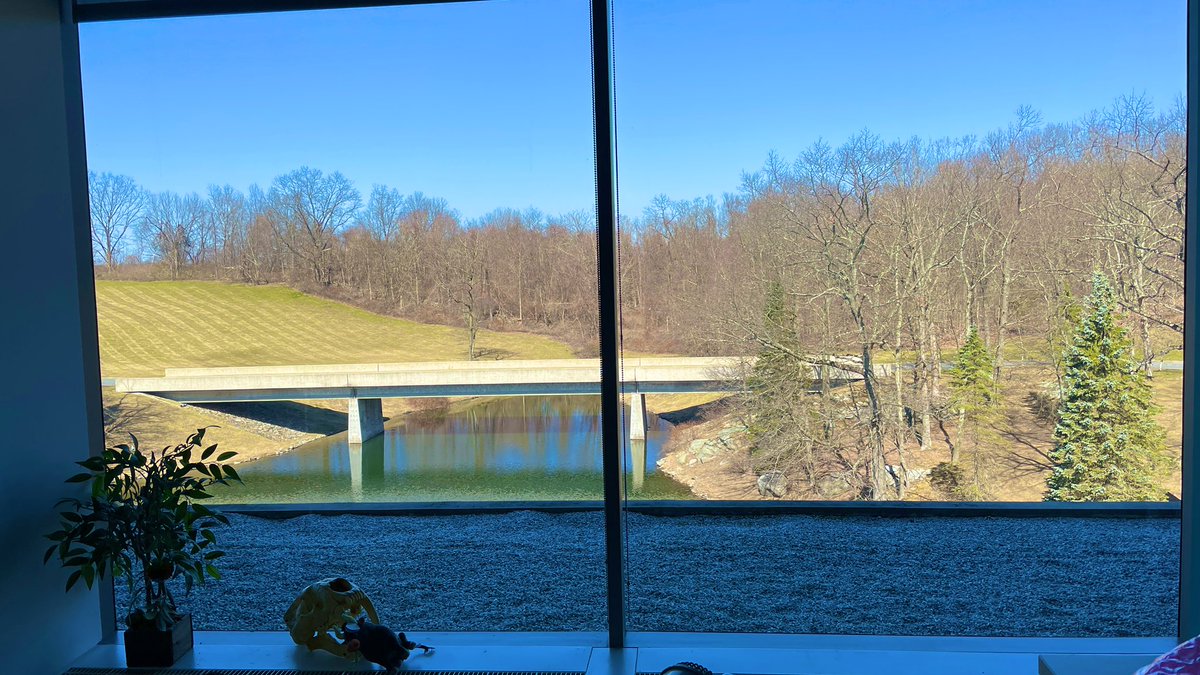 mthurmeier's tweet photo. Packed up my office at Blue Sky yesterday. Just shy of 23 years coming to a close, and I wouldn’t give back any of it. Every day was a gift. #thankyoubluesky https://t.co/1GCpsq1rtr