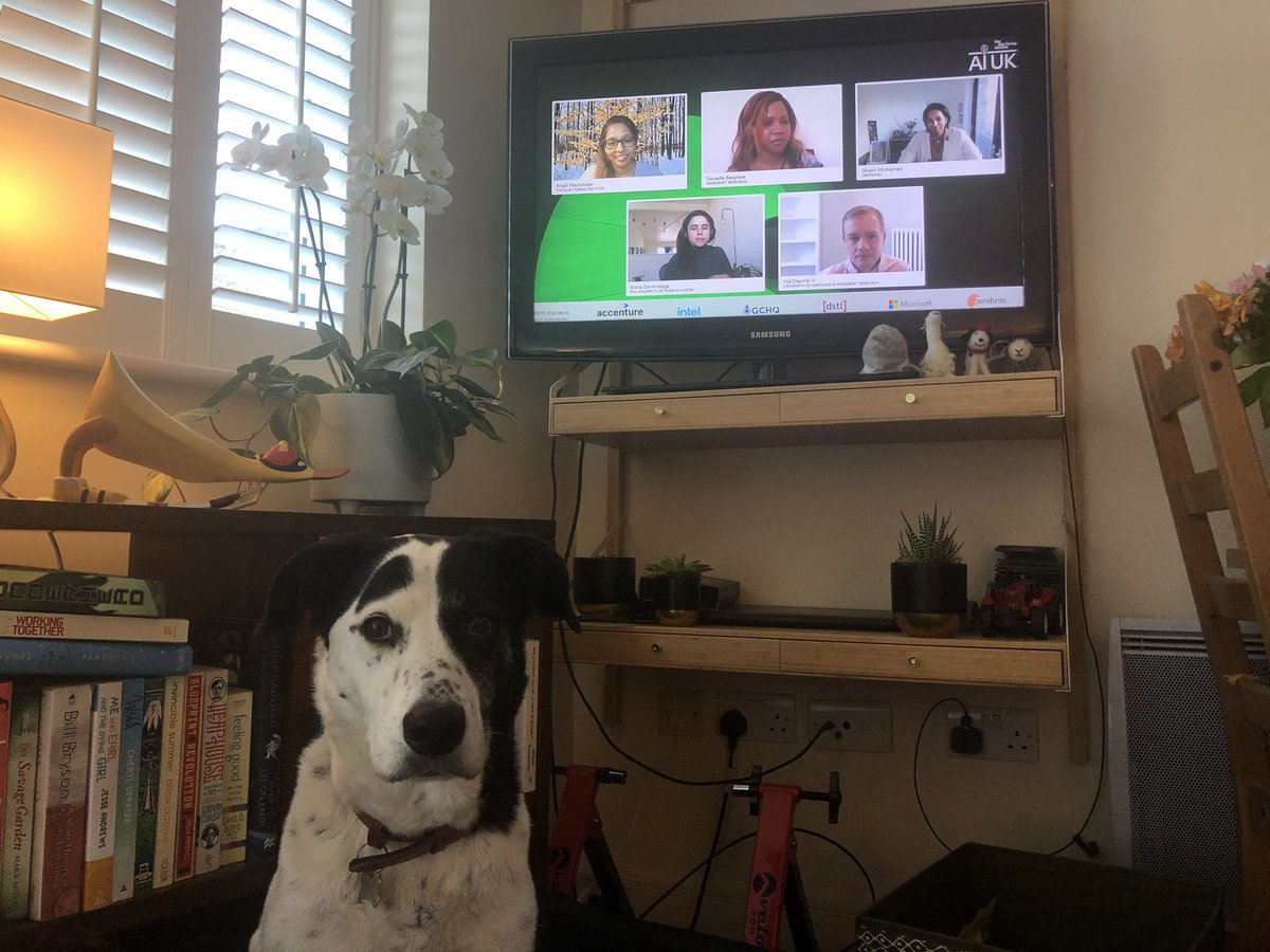 kirstie_j's tweet image. This is a GREAT panel discussion on Doing Better In Data Science - wonderfully chaired by Anjali Mazumder! Luna and I are REALLY enjoying the identification of structural barriers and the need to collectively dismantle them, and the naming of #DataColonialism 🙌🏻🙌🏿🙌🏽