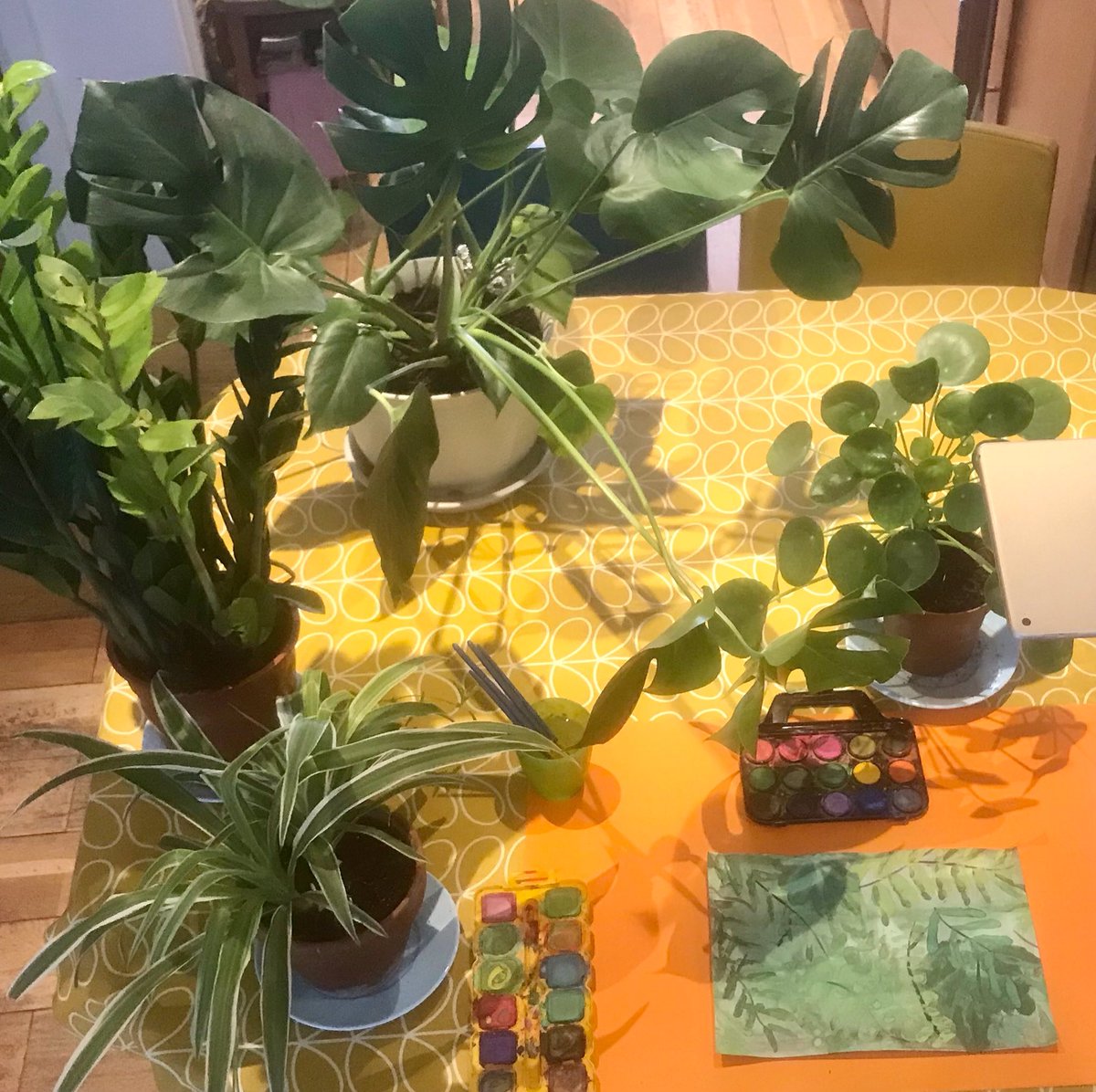 DeeringJulia's tweet photo. I’m loving today’s set up for Young Artists Club! #aperfectplanet #yazoom #watercolours #YoungArtistsClub #rainforest #printing #zoom https://t.co/Ihwdv080iL