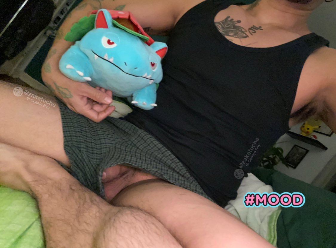 zakatuche's tweet photo. Ya se levantaron s̶e̶ ̶d̶e̶s̶l̶e̶c̶h̶a̶r̶o̶n̶? https://t.co/42D4EPQ1ci #onlyfans https://t.co/SqqdyIelco
