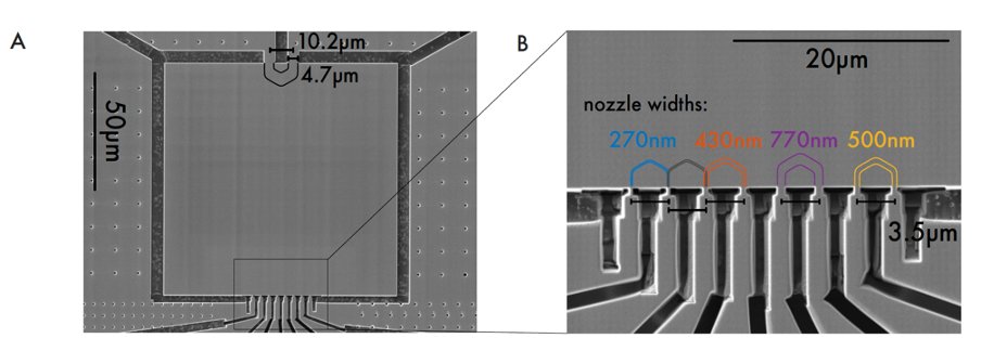 VirtualSciForum's tweet photo. Next #longrangeLRC coming on March 31, 1.30pm Eastern/7.30pm EU. Our speaker will be Andrew Mackenzie (MPI CPfS) @maxplanckpress on "Benefits of good old-fashioned crystalline perfection - new physics in ultra pure delafossite metals" 💎 Join us here: https://t.co/RLx3DnXNm4 https://t.co/kfGcbmOA76