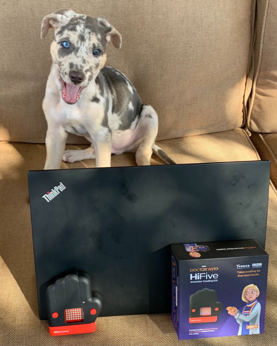 HifiveInventor's tweet image. Watch out hoomans! I am a coder now!
#DoctorWho #Coding #CodingKit #dogsofinstagram #puppy #Games #Education #dev_girls #programming #blockcoding #python #whovian #kidscoding #HiFiveInventor #IoT #developer #lovecoders #peoplewhocode #codepeople #womenintech #100DaysOfCode