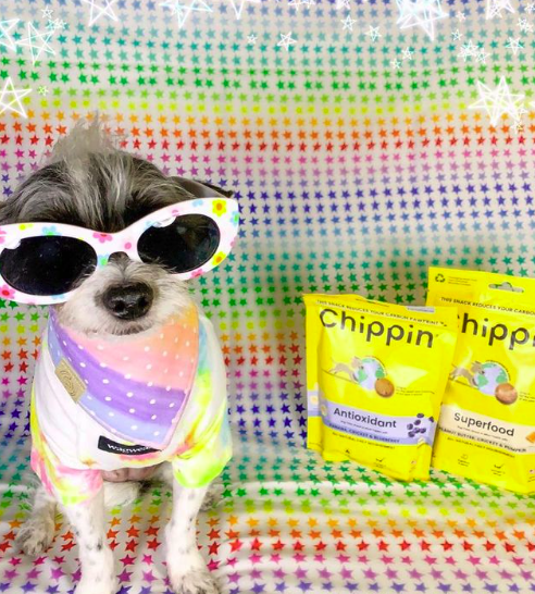 Happy National Puppy Day! Celebrate your pup today (and every day!) with <a href="/ChippinTime/">Chippin</a> treats – they’re all natural, high-protein, and thoughtfully made by a women-owned small business. Find them on EarthHero!
-
Photo: @thelouinlouisiana