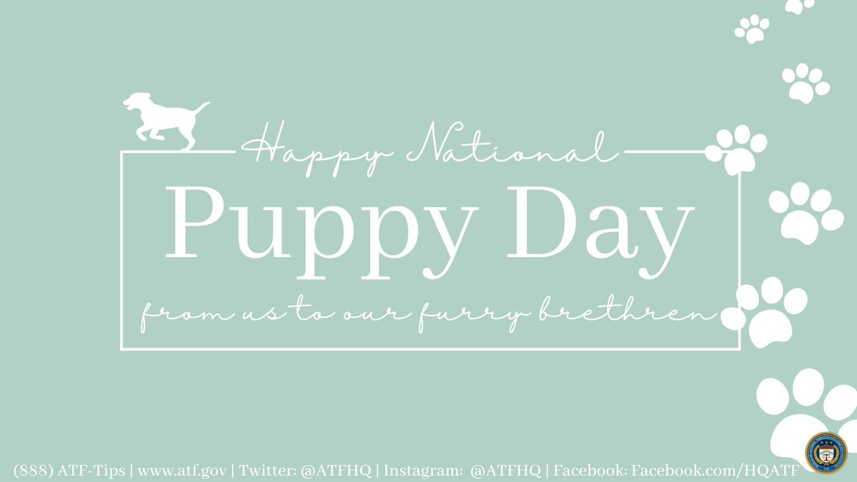 who created national puppy day