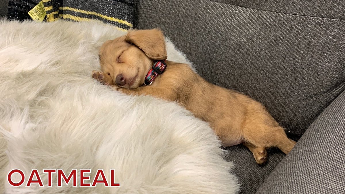 Mortys Big Brother Canada 2021 Latest News Update