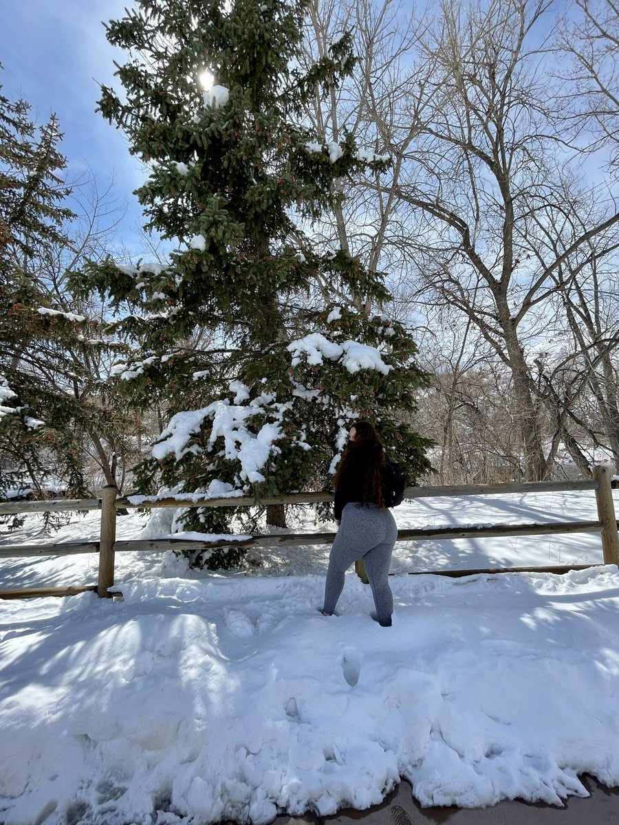 messicabryant's tweet photo. rocky mountain state of mind https://t.co/vJIvYfN5Gr