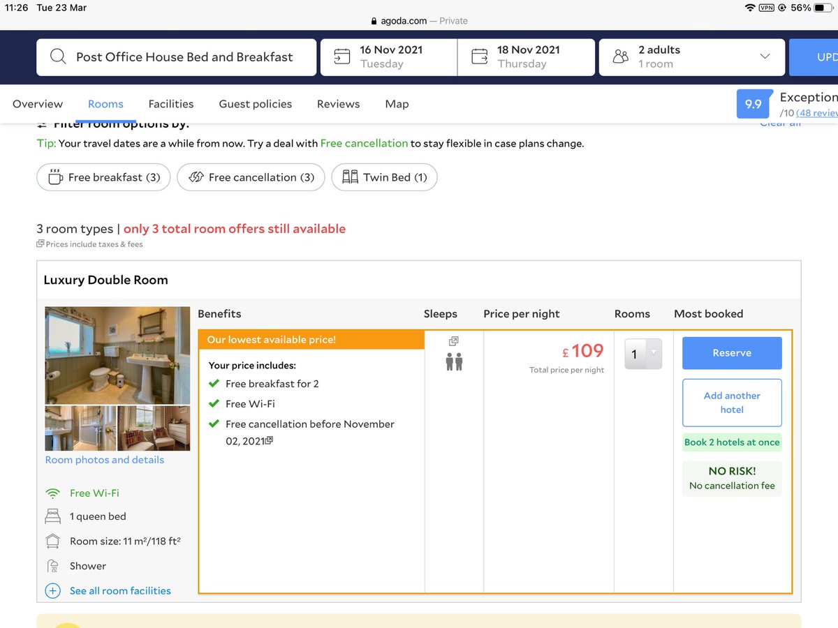 StoneMileYorkie tweet media