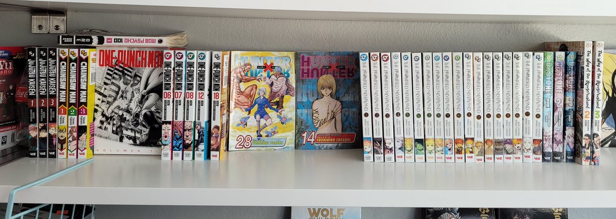 tsukyniko's tweet photo. My manga collection 2021, I have some manga that I dont wanna show cuz they are bad manga and I have them cuz my dumbass past self said they were good💀 anyways, happy to have some peak series https://t.co/43qWsmhYG8