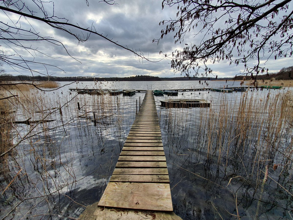 truemmerfeld's tweet photo. #3guteDingedesTages
➡️ In Sachen Naturschutz unterwegs gewesen.
➡️ Dabei nach langer Zeit mal wieder den #Schaalsee in #MecklenburgVorpommern besucht. Wirtschaftlich hat sich die Gegend leider eher zurück entwickelt.
➡️ Leckere Pizza. https://t.co/giiGP7mjHo