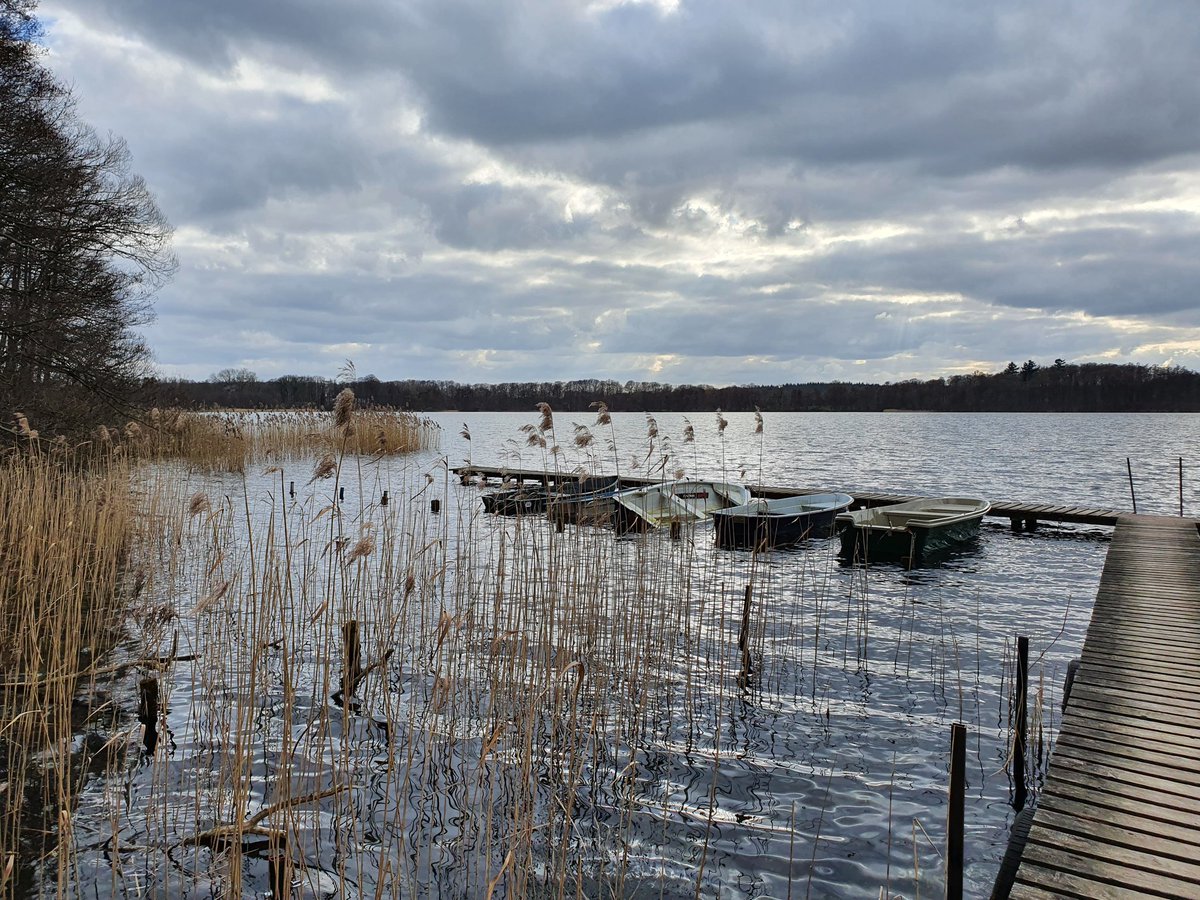 truemmerfeld's tweet photo. #3guteDingedesTages
➡️ In Sachen Naturschutz unterwegs gewesen.
➡️ Dabei nach langer Zeit mal wieder den #Schaalsee in #MecklenburgVorpommern besucht. Wirtschaftlich hat sich die Gegend leider eher zurück entwickelt.
➡️ Leckere Pizza. https://t.co/giiGP7mjHo