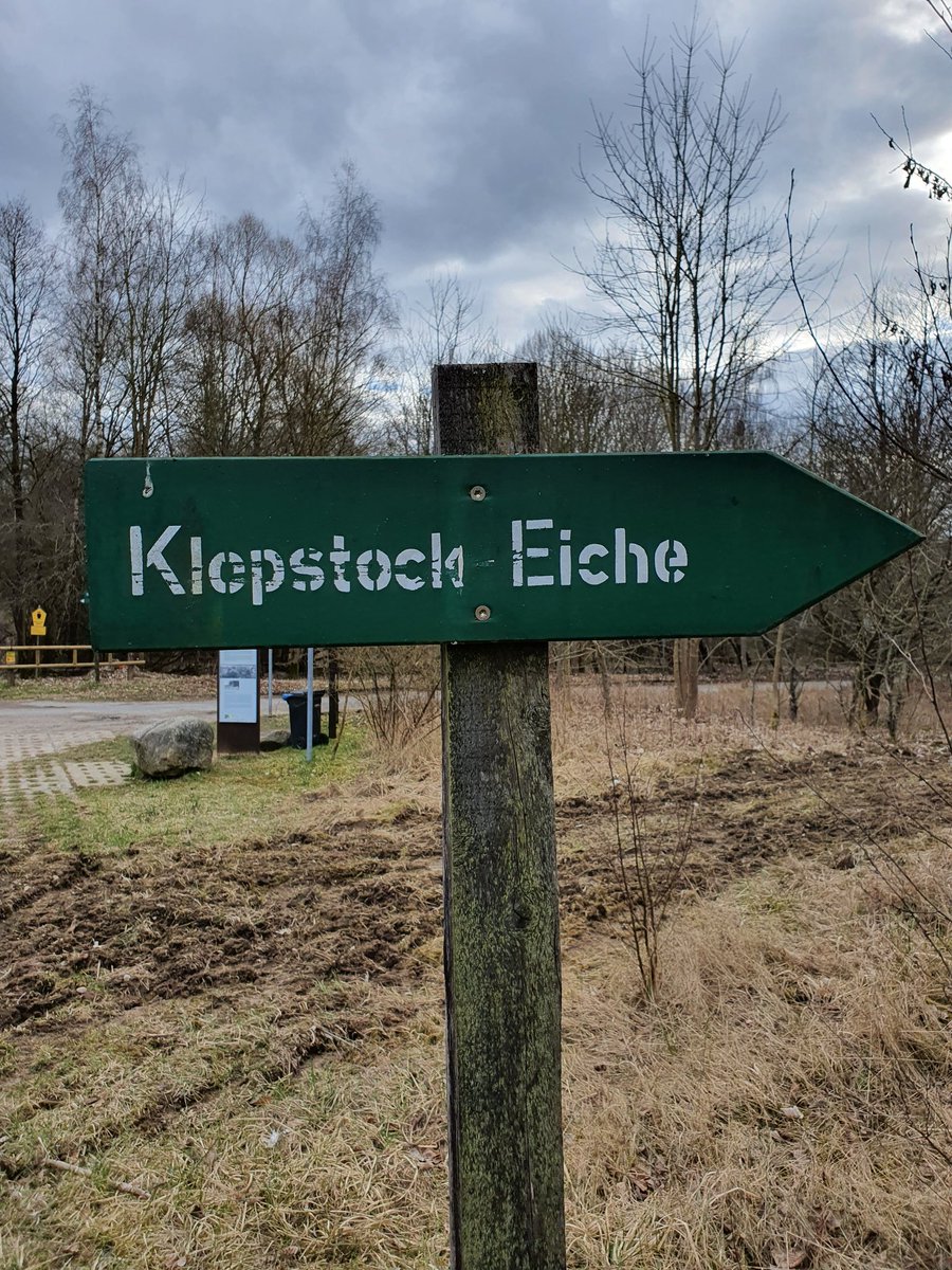 truemmerfeld's tweet photo. #3guteDingedesTages
➡️ In Sachen Naturschutz unterwegs gewesen.
➡️ Dabei nach langer Zeit mal wieder den #Schaalsee in #MecklenburgVorpommern besucht. Wirtschaftlich hat sich die Gegend leider eher zurück entwickelt.
➡️ Leckere Pizza. https://t.co/giiGP7mjHo