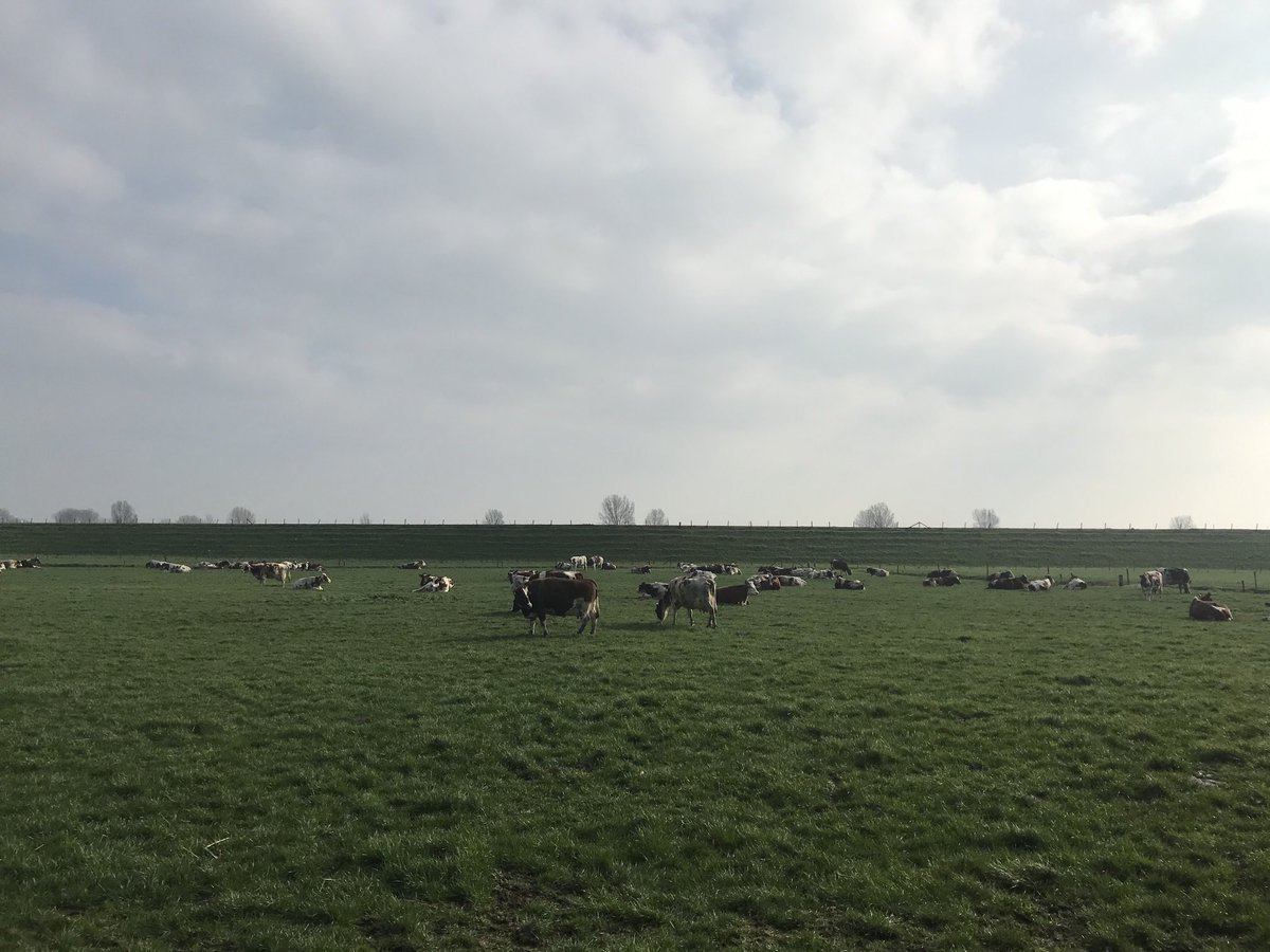 philomenasmits's tweet photo. Spring is in the air ๐ฅ Ze mogen weer naar buiten; eerst dollen in t zand. ๐#blijindewei #mrij #nietomdathetmoet #maaromdathetkan met ๐ฆ๐ง https://t.co/tVal5xsRwz